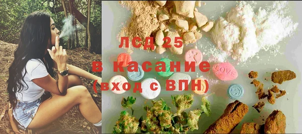 твердый Богородск