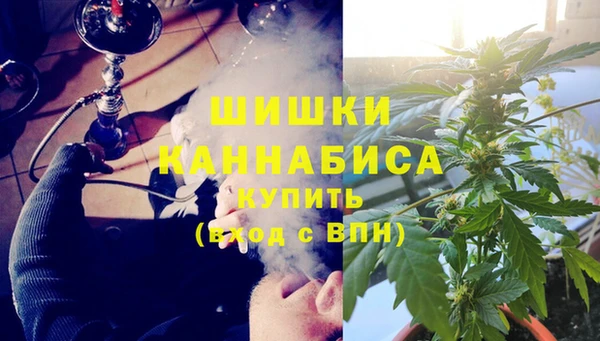 твердый Богородск